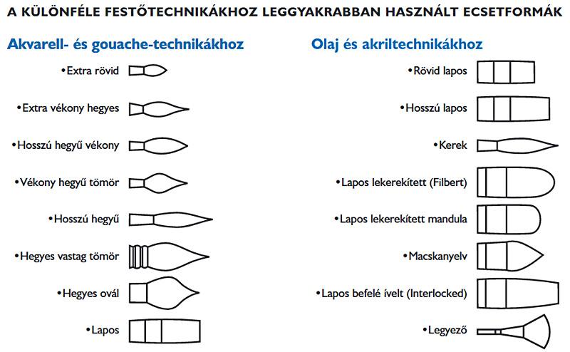 Leggyakrabban használt művészecset formák