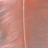 Kép 2/2 - Marabutoll - lazac, 8-10 cm, 22 db/csomag
