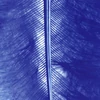 Kép 2/2 - Marabutoll - sötétkék, 8-10 cm, 22 db/csomag