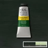 Kép 1/2 - Winsor&Newton Galeria akrilfesték, 60 ml - 311, hookers' green