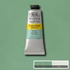 Kép 1/2 - Winsor&Newton Galeria akrilfesték, 60 ml - 435, pale olive