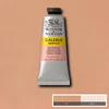 Winsor&Newton Galeria akrilfesték, 60 ml - 437, pale terracotta