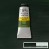 Winsor&Newton Galeria akrilfesték, 60 ml - 447, olive green