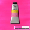 Kép 1/2 - Winsor&Newton Galeria akrilfesték, 60 ml - 448, opera rose