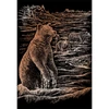 Karckép gravírozó készlet karctűvel, 20x25 cm - Grizzly medvék, réz