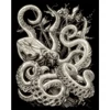 Karckép gravírozó készlet karctűvel, 20x25 cm - Octopus, sötétben világító
