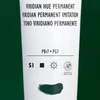Liquitex Heavy Body akrilfesték, 59 ml - 398, viridian hue permanent