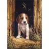 Kép 2/3 - Számozott kifestő készlet, akrilfesték+ecset, 22x30 cm - Beagle