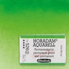 Schmincke Horadam akvarellfesték, 1/1 szilkés - 526, permanent green