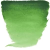 Kép 2/3 - Talens Van Gogh tubusos akvarellfesték, 10 ml - 644, hooker green light