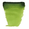 Talens Van Gogh szilkés akvarellfesték, 1/2 szilke - 623, sap green