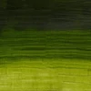 Winsor&Newton Artisan vizes olajfesték, 37 ml - 503, permanent sap green