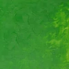 Winsor&Newton Winton olajfesték, 37 ml - 483, permanent green light