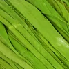 Raffia, 50 g - világoszöld