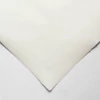 Hahnemühle Ingres papír, 100 g, 48x62,5 cm - 250 bright white