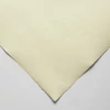 Hahnemühle Ingres papír, 100 g, 48x62,5 cm - 251 white