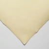 Hahnemühle Ingres papír, 100 g, 48x62,5 cm - 252 ivory