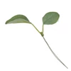 Kép 2/2 - Művirág, betűzhető műnövény - eukaliptusz, 8,5 cm, 12 db