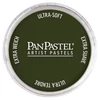 PanPastel tégelyes porpasztell - 660.3, chromium oxide green shade