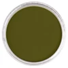 PanPastel tégelyes porpasztell - 680.1, bright yellow green extra dark