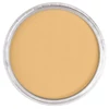 PanPastel tégelyes porpasztell - 911.5, rich gold