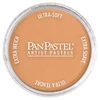 PanPastel tégelyes porpasztell - 930.5, bronze