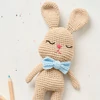 Horgolókészlet, Anchor Baby Pure Cotton Amigurumi figura - Békés nyuszi és cumiőr
