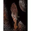 Kép 1/2 - Karckép gravírozó készlet karctűvel, 20x25 cm - Vadállat, réz