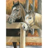 Számozott színező készlet, színesceruzák+hegyező, 22x30 cm - Lovak