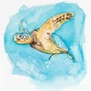 Kép 4/4 - Cretacolor Marino akvarell rajzkészlet, 6 db-os