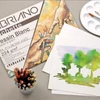 Fabriano Pochette  Dessin Blanc rajzpapír csomag,  224 g - 24x32 cm, 12 lap