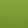 Fabriano Tiziano színes rajzpapír, A4 - 43, pistacchio