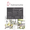 Hahnemühle Concept rajz-, vázlat- és festőtömb, 220 g, 20 lap - A3