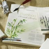 Hahnemühle Bamboo Mixed Media univerzális bambusz festő- és rajztömb, 265 g, 25 lap - 24x32 cm