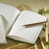 Hahnemühle Bamboo Sketch bambusz rajz- és vázlatfüzet, 105 g, 64 lap, A5