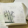 Hahnemühle Bamboo Sketch bambusz rajz- és vázlattömb, 105 g, 30 lap, A4