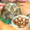 Kép 5/6 - Agyag, 1 kg - feketére égő