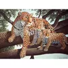 Kép 2/3 - Számozott kifestő készlet, akrilfesték+ecset, 29x39 cm - Afrikai leopárd
