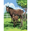 Számozott kifestő készlet, akrilfesték+ecset, 22x30 cm - Lovak, Mare és Foal