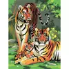 Kép 2/3 - Számozott kifestő készlet, akrilfesték+ecset, 22x30 cm - Tigrisek