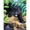 Számozott kifestő készlet, akrilfesték+ecset, 22x30 cm - Fekete leopárd