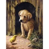 Számozott kifestő készlet, akrilfesték+ecset, 22x30 cm - Labrador kölyök