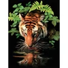 Számozott kifestő készlet, akrilfesték+ecset, 22x30 cm - Szomjas tigris