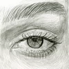 Sakura Pigma Brush ecsetfilc - cool gray