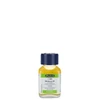 Schmincke olaj médium, W - 60 ml