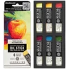 Sennelier Oil Stick olajfesték rúd készlet - 6x12 ml, bicoloured apple