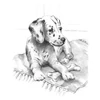 Skiccrajz grafikai rajzkészlet eszközökkel, 22x30 cm - Dalmata kölyök