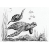 Kép 2/2 - Skiccrajz mini grafikai rajzkészlet eszközökkel, 12x18 cm - Tengeri teknősök