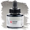 Talens Pantone marker tinta, 30 ml - cool gray 2