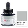 Talens Pantone marker tinta, 30 ml - cool gray 3